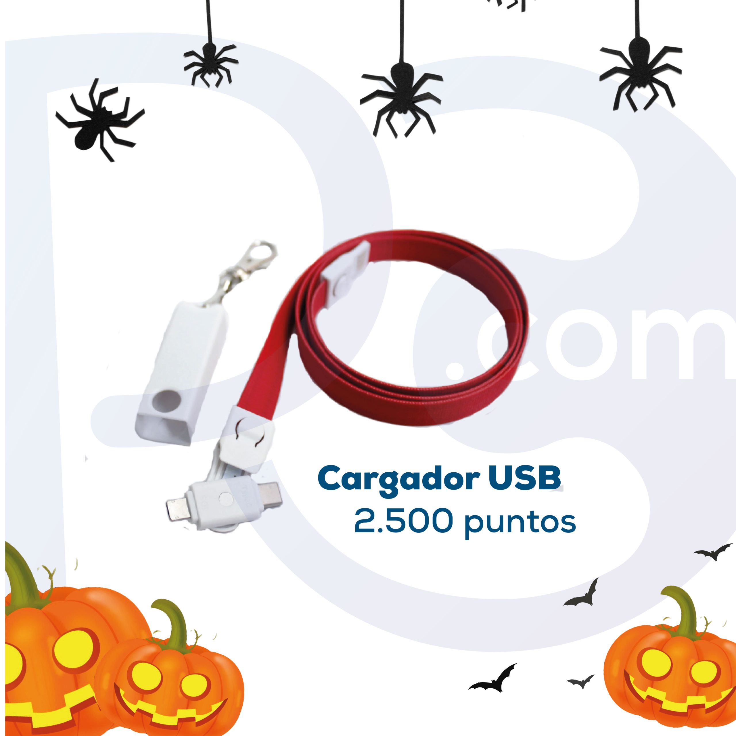 Cargador USB